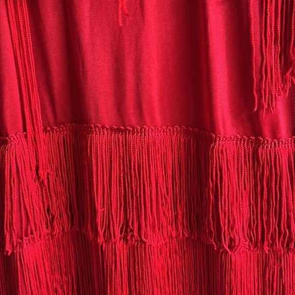 Red fringe sequined flapper dress - Picture 3 of 7